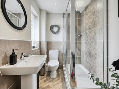 Picture 17